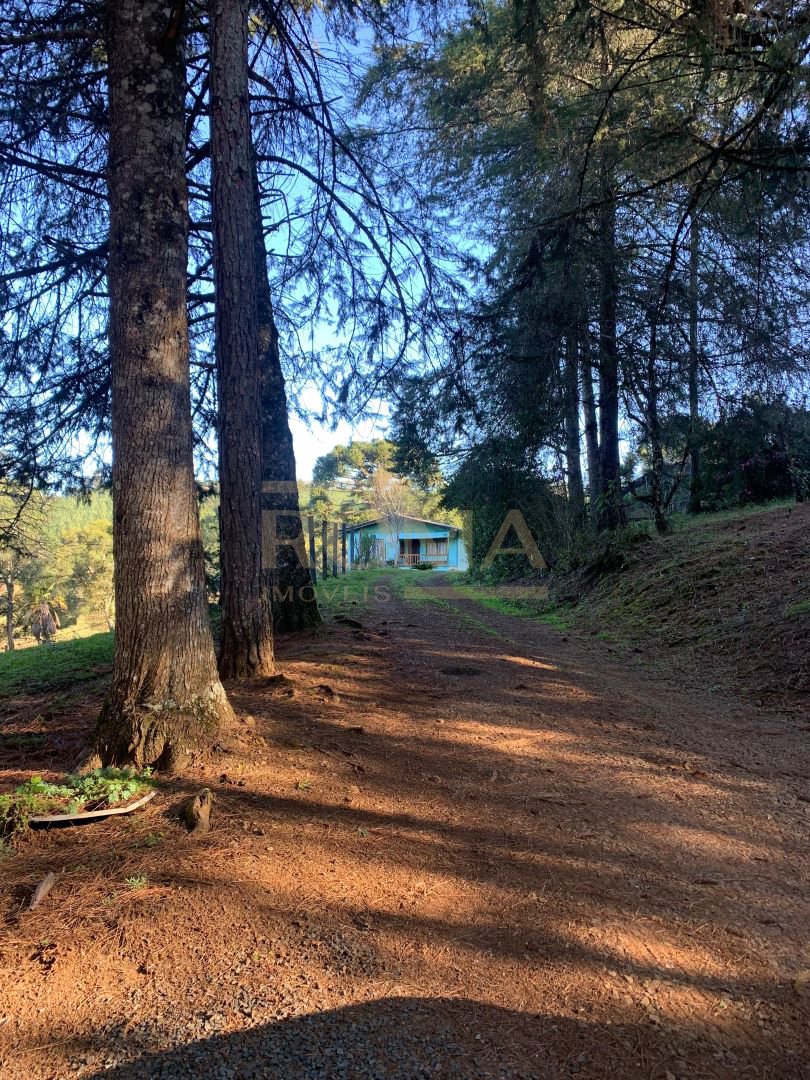 CHÁCARA COM CHALÉ E CASA A 10 MINUTOS DE CAÇADOR — foto 11
