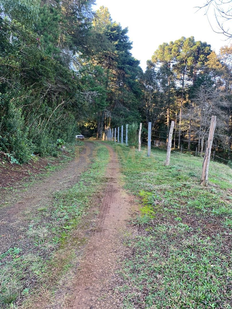 CHÁCARA COM CHALÉ E CASA A 10 MINUTOS DE CAÇADOR — foto 5