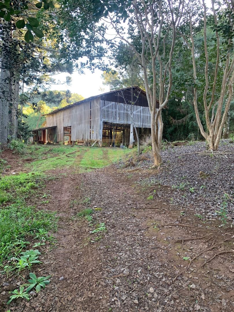 CHÁCARA COM CHALÉ E CASA A 10 MINUTOS DE CAÇADOR — foto 8
