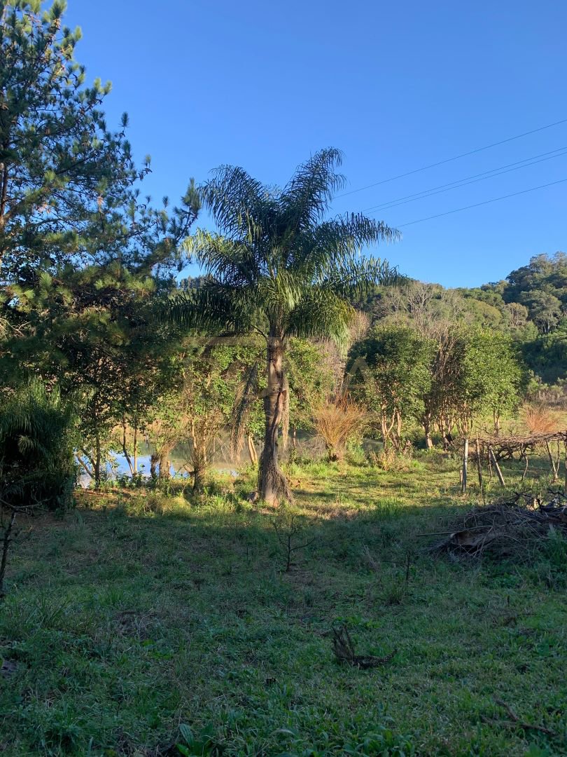 CHÁCARA COM CHALÉ E CASA A 10 MINUTOS DE CAÇADOR — foto 14