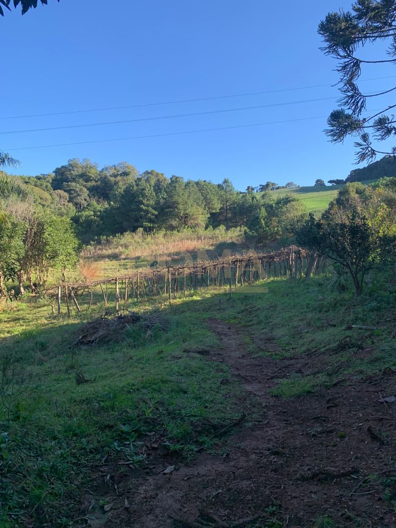 CHÁCARA COM CHALÉ E CASA A 10 MINUTOS DE CAÇADOR — foto 7