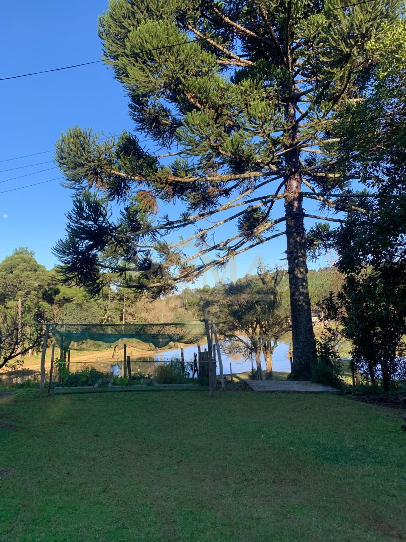 CHÁCARA COM CHALÉ E CASA A 10 MINUTOS DE CAÇADOR — foto 10