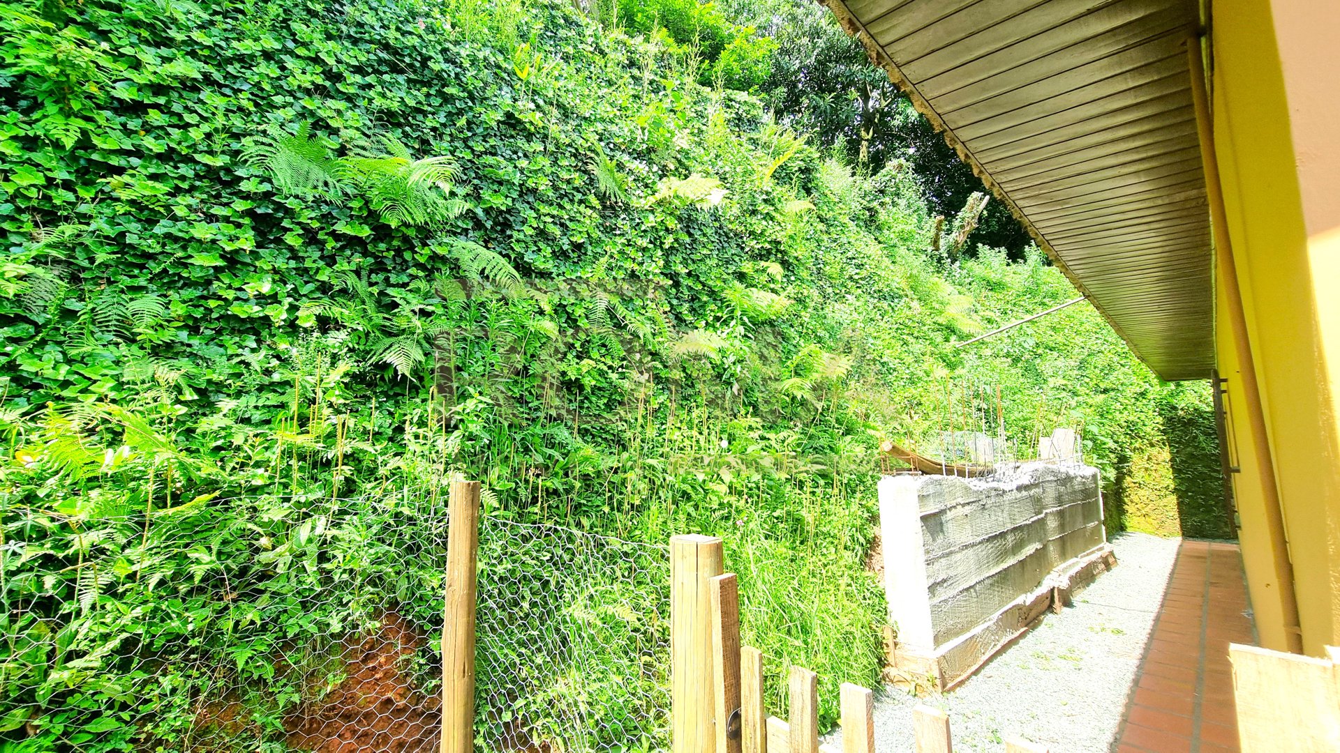 CASA COM PRIVACIDADE E RUA PRIVATIVA — foto 4
