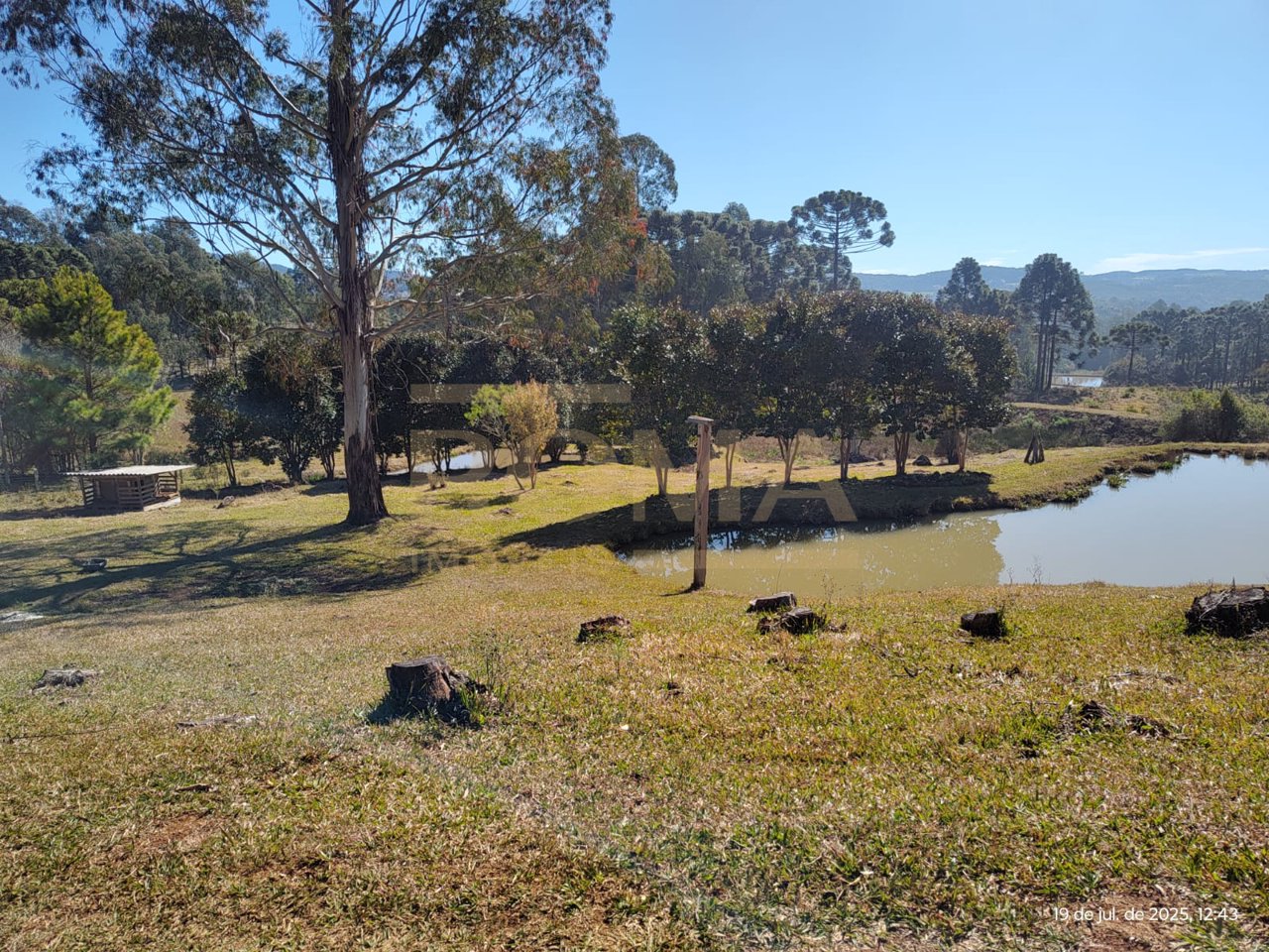 TERRENO RURAL COM FACE NORTE NA LINHA SEMINÁRIO APENAS 3 KM DA CIDADE — foto 14