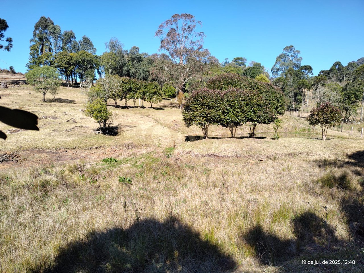 TERRENO RURAL COM FACE NORTE NA LINHA SEMINÁRIO APENAS 3 KM DA CIDADE — foto 2