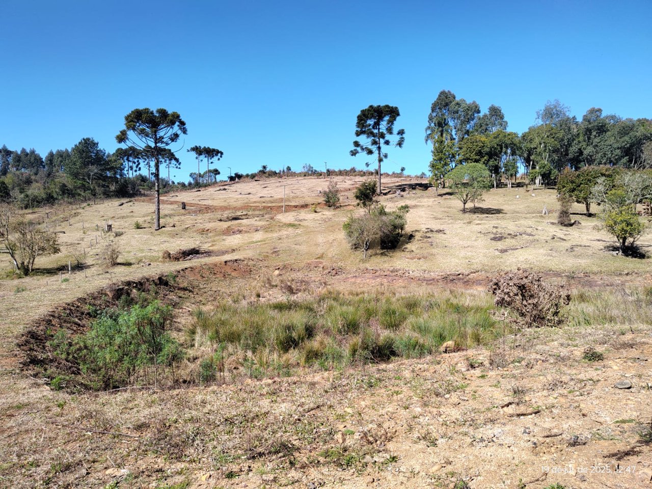TERRENO RURAL COM FACE NORTE NA LINHA SEMINÁRIO APENAS 3 KM DA CIDADE — foto 5