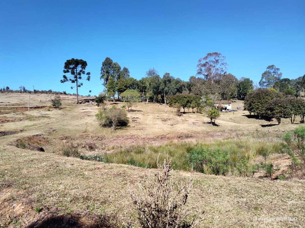 TERRENO RURAL COM FACE NORTE NA LINHA SEMINÁRIO APENAS 3 KM DA CIDADE — foto 1