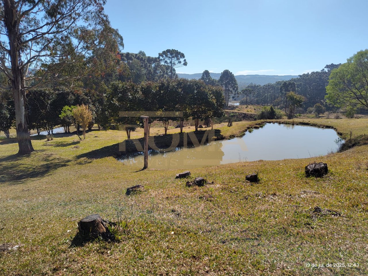 TERRENO RURAL COM FACE NORTE NA LINHA SEMINÁRIO APENAS 3 KM DA CIDADE — foto 11