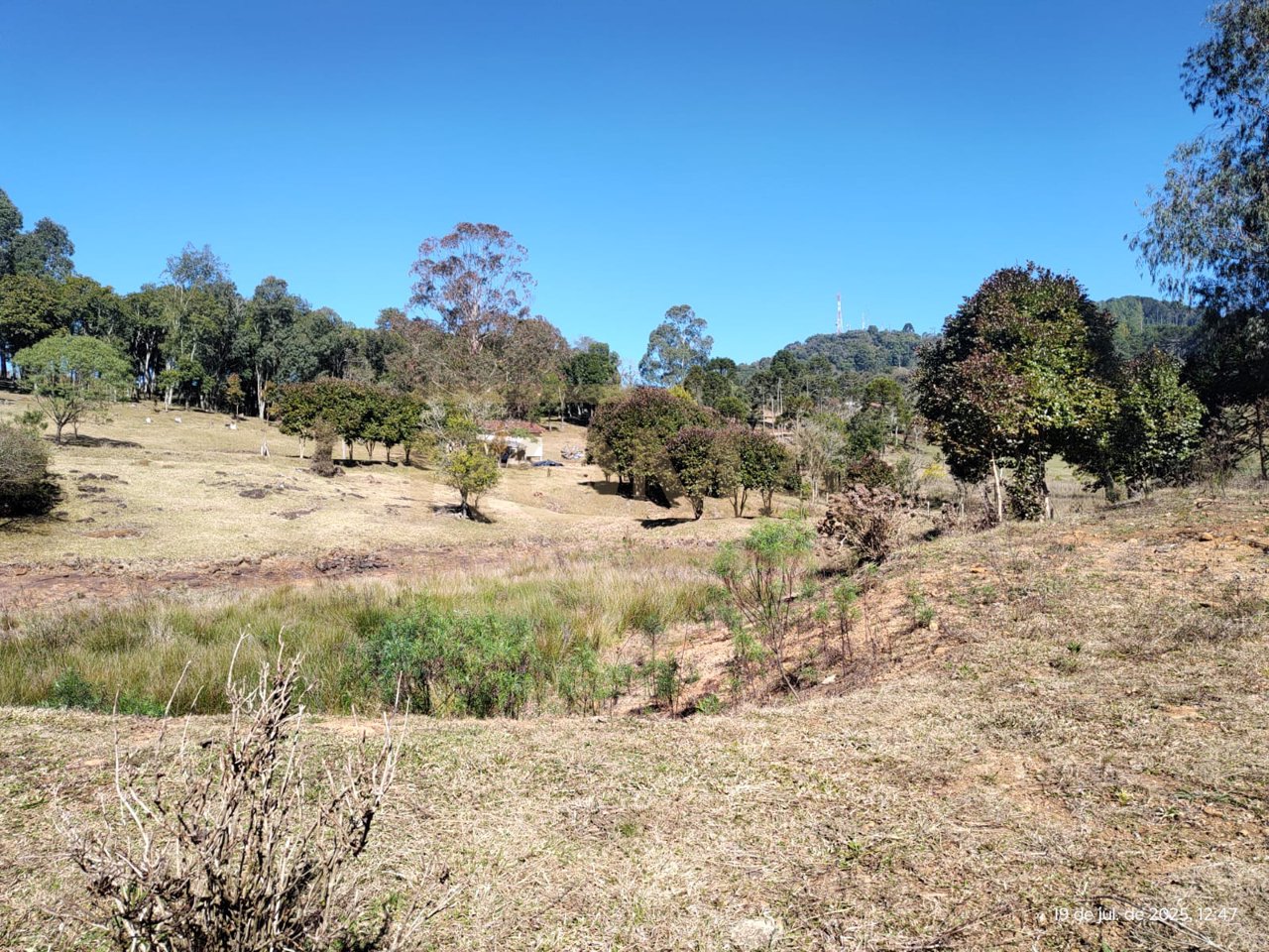 TERRENO RURAL COM FACE NORTE NA LINHA SEMINÁRIO APENAS 3 KM DA CIDADE — foto 6